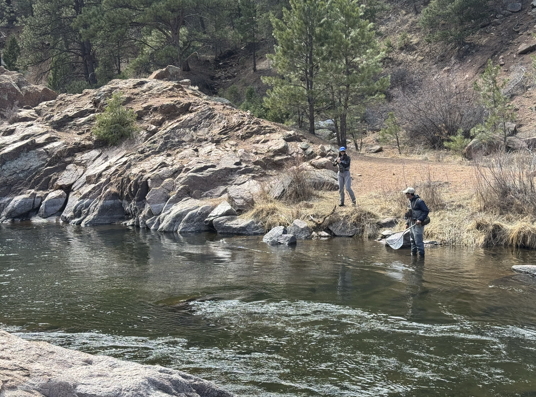 Screenshot 2025-04-17 at 11.30.53 AM.png.png